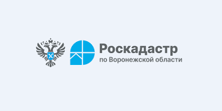 Воронежский Роскадастр подвел итоги 2024 года.