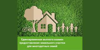 Как воронежские многодетные семьи могут получить деньги вместо земельного участка.