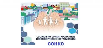 На поддержку НКО в муниципалитетах Воронежской области направят 44,9 млн рублей.