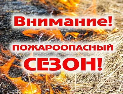 В 2025 году в Воронежской области пожароопасный сезон начнется c 1 апреля..