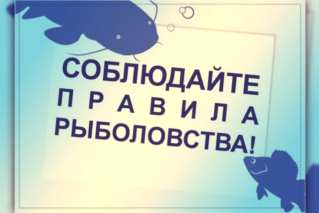 Внимание нерест! Рыбалка запрещена!. Внимание нерест! Рыбалка запрещена!.